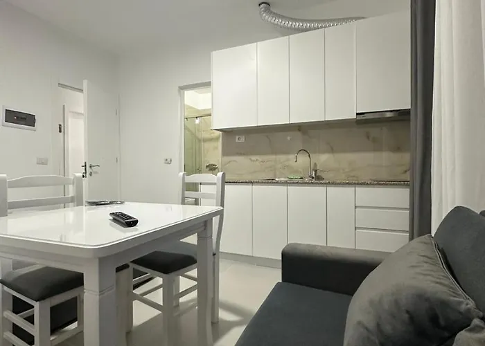 Tafi Daire Shëngjin